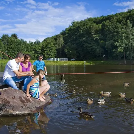 Ferienpark Ferienpark Hambachtal 3*