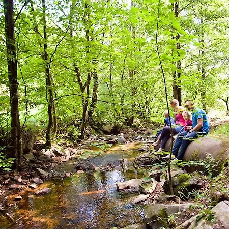 Ferienpark Ferienpark Hambachtal 3*