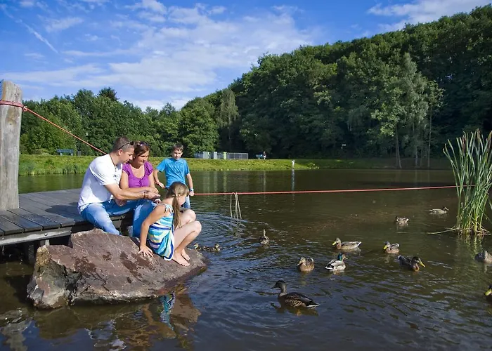 Ferienpark Ferienpark Hambachtal 3*