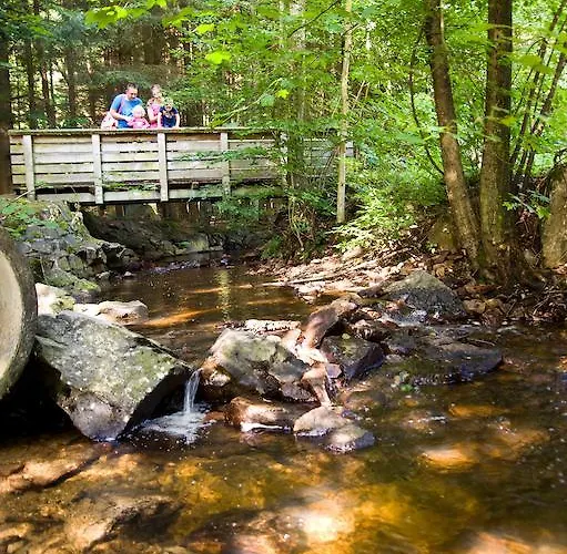 Ferienpark Hambachtal Oberhambach