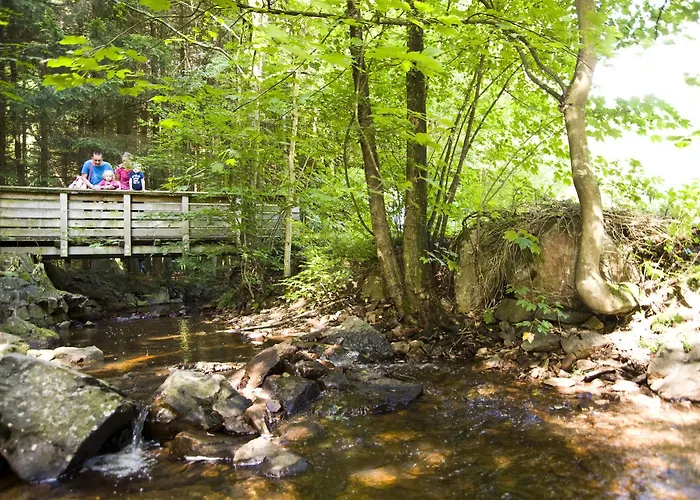 Ferienpark Hambachtal Ferienpark 3*